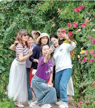 屏幕截图 2024-12-19 134858.png