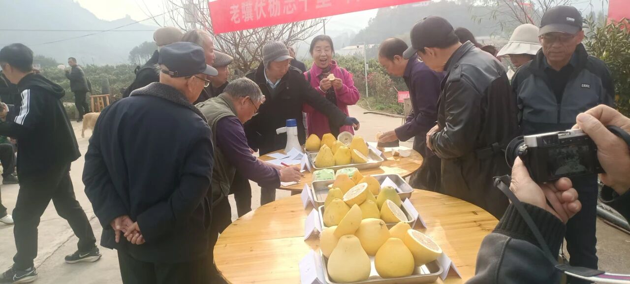 1767515723457631.jpg 1767515723457631.jpg